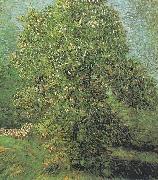 Blossoming Chestnut Tree, Vincent Van Gogh